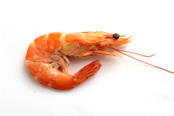 boiled shrimp isolated on white background