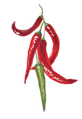 Red chili peppers isolated on white background.