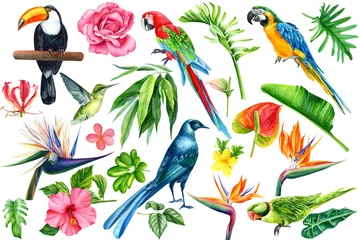 Stof per meter Vlinders Set van tropische vogels, bloemen en bladeren op een afgelegen witte achtergrond, aquarel illustratie. Spreeuw, kolibrie, toekan, papegaai. Jungle planten, strelitzia, hibiscus, ficus, roos, anthurium