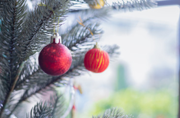 Red balls decorate the Christmas 