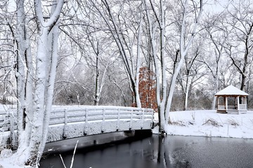 A snowy Winter in the park. A snow covered bridge path leads to a secluded island