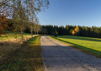 Fototapeta na wymiar Old road with autumn trees, Czech republic