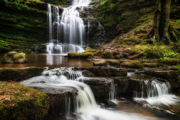 Obraz premium Scaleber Force