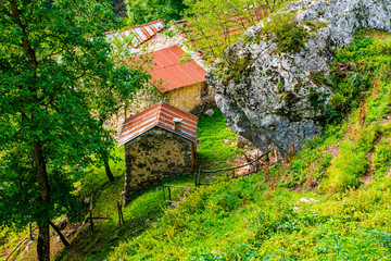 Vintage domestic life one