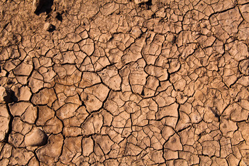 Climate changing concept: dry land