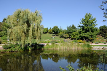 Fototapeta na wymiar Pond and gardens at Humber Arboretum in Toronto, Ontario