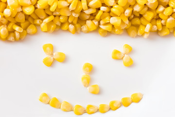 fresh organic corn. healthy food. harvested corn. used to make popcorn, cereal, cornflake, animal food. ingredient of salad for diet