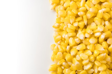 fresh organic corn. healthy food. harvested corn. used to make popcorn, cereal, cornflake, animal food. ingredient of salad for diet