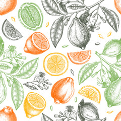 Ink hand drawn citrus fruits backdrop. Vector lemons seamless pattern with citrus fruits, flowers, seeds, leaves, branches sketches. Perfect for packing, greeting cards, invitations, prints.