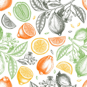 Ink hand drawn citrus fruits backdrop. Vector lemons seamless pattern with citrus fruits, flowers, seeds, leaves, branches sketches. Perfect for packing, greeting cards, invitations, prints.