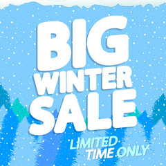 Big Winter sale, poster design template, vector illustration