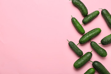 Fresh green cucumbers on color background