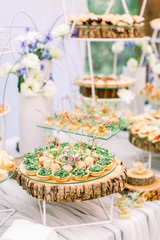 Delicious canapes as event wedding dish. Catering - served table with various snacks, canape and appetizers. Wedding in rustic style outdoors