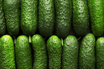 Fresh green cucumbers as background
