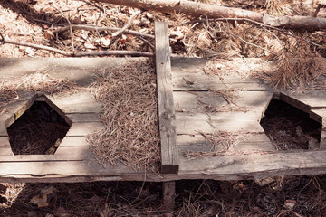 Obraz premium The bottom of the wooden toilet with hole in the floor.