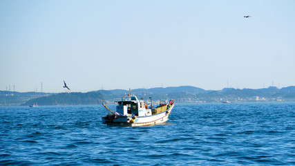 Fototapeta premium 東京湾で船釣り 青い海と一艘の釣り船