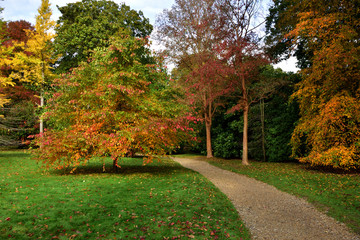 Autumn Colours at Sheffield Park, East Sussex 05