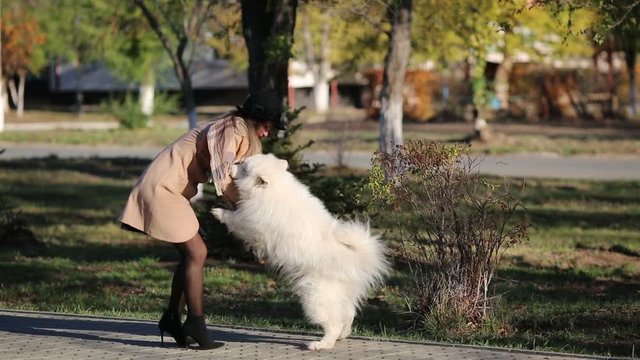A girl in an autumn coat trains a dog in a park. A woman coat hat is training a dog on the street. The dog stands on its hind legs.