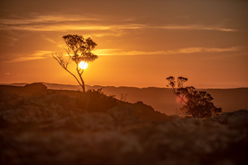 atardecer