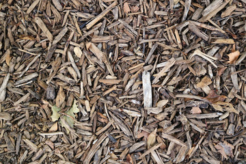 small branches and brown wooden sticks in the ground
