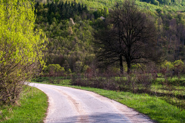 Asphalt country road in clear late summer day