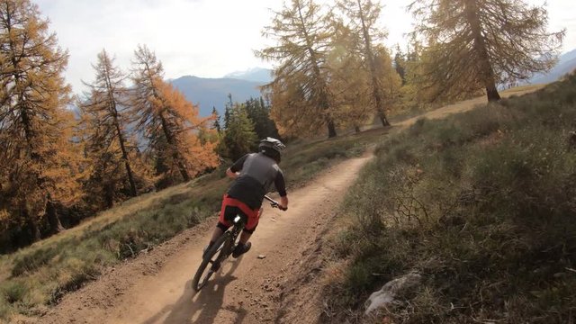 Following biker in larches - Gopro 7 shot at 4K60 - ultra smooth stabilization - slight slow motion to 50fps