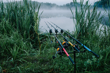 Naklejka premium Three carp fishing rods in rod pod on a background of lake and nature. Fishing background. Carp fishing. Misty morning. Holder rods. wilderness area. Signaling devices.
