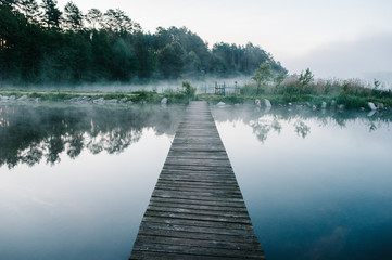 Fog, grass, trees against the backdrop of lakes and nature. Fishing background. Carp fishing. Misty...