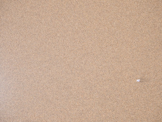 Fototapeta na wymiar smooth sand surface close-up