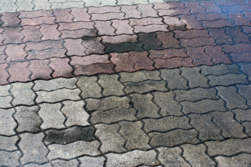 patterned paving tiles, cement brick floor background