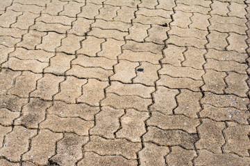 patterned paving tiles, cement brick floor background