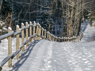 beautiful winter landscape with snowy tree fence, white road and snowy white trees