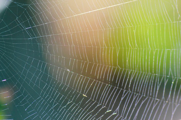 Spiderweb or cobweb part close-up. Colorful and blurry background. Halloween and weather concept.