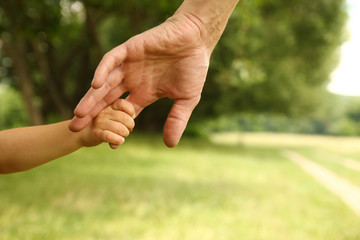  parent holds the hand of a small child