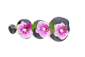 Obraz na płótnie Canvas Orchid flowers and wet zen massage stones isolated on white background