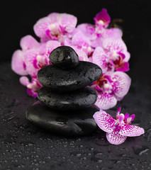 Fototapeta na wymiar Balance zen stones and orchid flowers on wet background