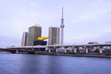 Famous landmark of Japan, near Sumida river , Tokyo sky tree and Asahi tower in blue sky evening time