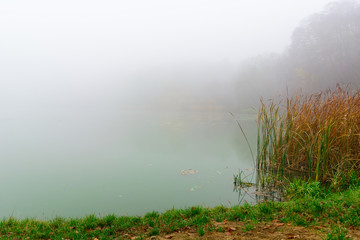 Morning fog on the lake in the fall. Mystical and mysterious weather. Gray autumn natural background.