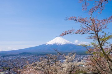 Mt. Fuji in japan under blue sky
