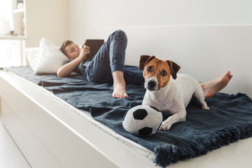 Cute dog Jack Russell Terrier with a soccer ball lies next to the lying boy with a tablet on a bed in a cozy bedroom.