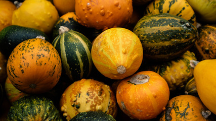 pumpkins on the market