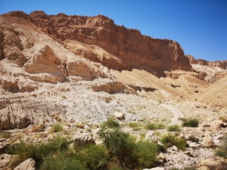 Fototapeta na wymiar mountainous desert