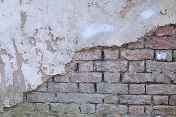 Deteriorated White Wall with Bricks underneath and Moss