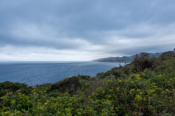 Fototapeta na wymiar Coast of mountains and vegetation in the natural park of Algeciras in Spain