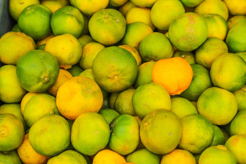 Heap Bunch Bundle Many Oranges Fruit Fresh From Farm Yellow and Green Color in Market Decoration and Sale