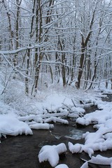 Fototapeta premium Snowy creek view after a heavy snow fall