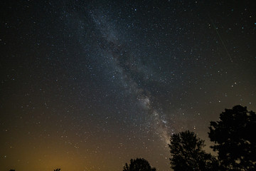 milky way over trees