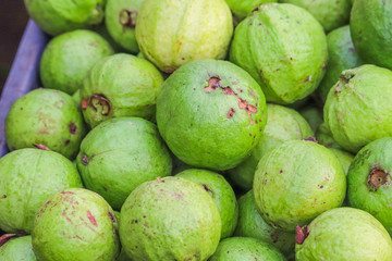 Heap Bunch of Guava Fruit Whole Fresh From Farm in Market Decoration and Sale