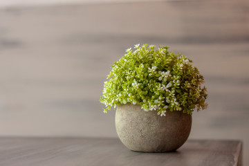 Plastic Centerpiece On Table