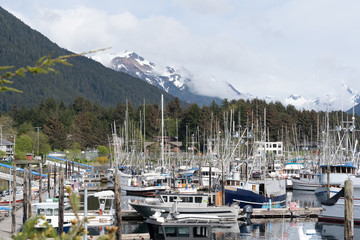 Lots of boats docked in Sitka Alaska 